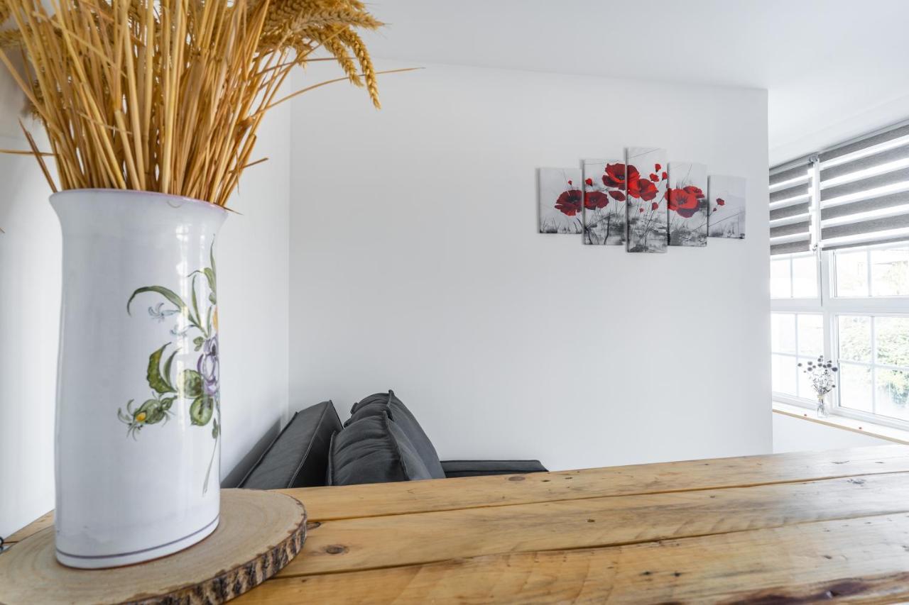 La Dimiere - Le Postel - Appartements De Standing En Hyper-Centre - ルーヴィエ エクステリア 写真